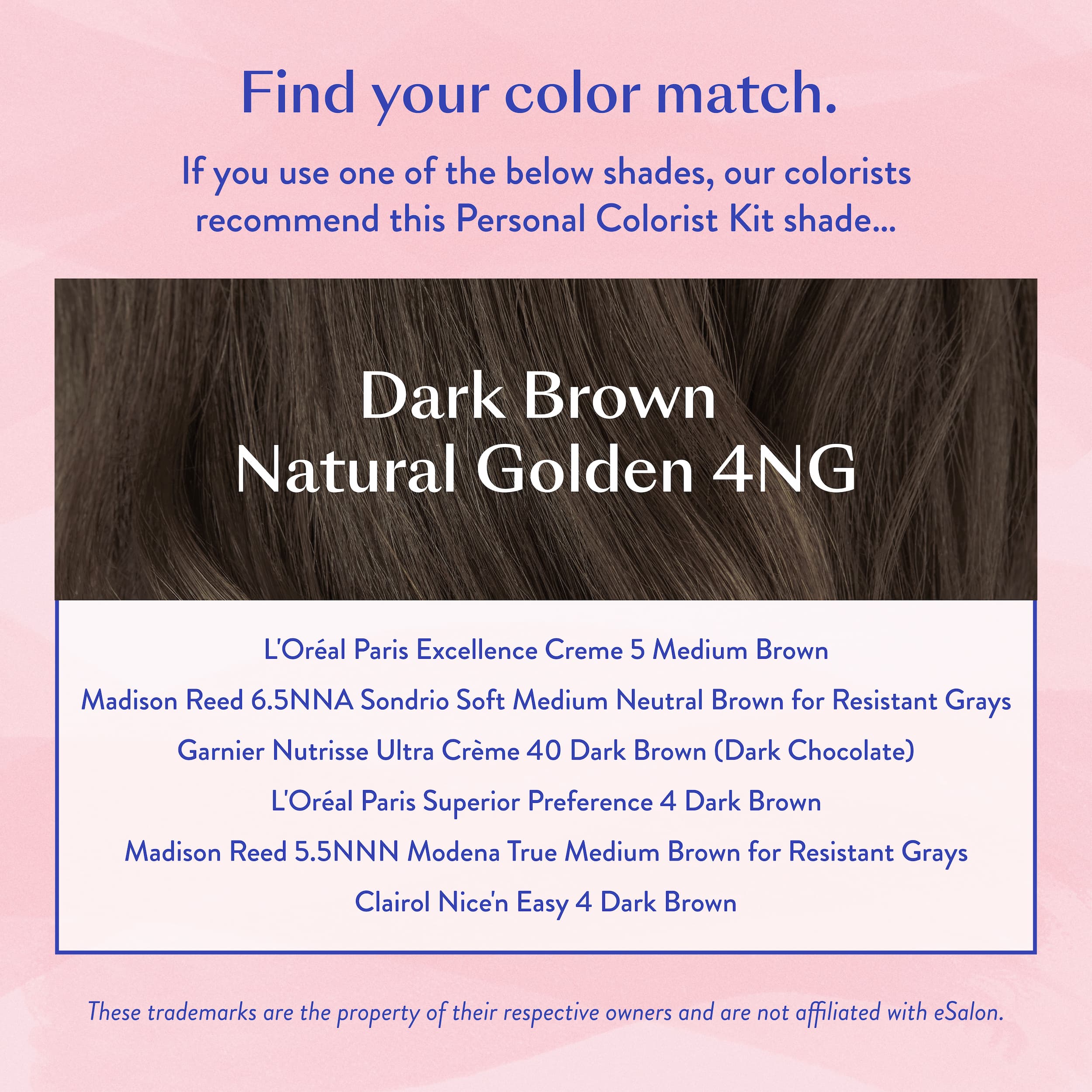 #color_Dark Brown Natural Golden 4NG
