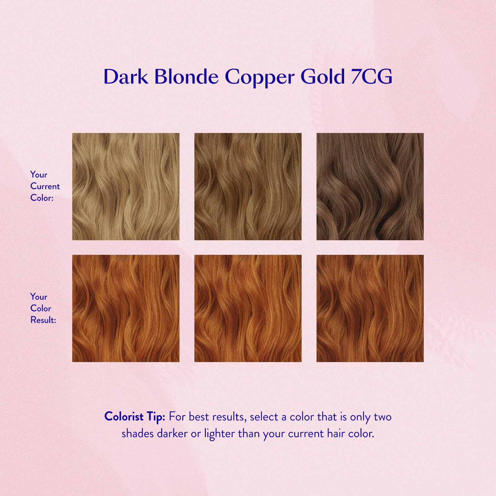 #color_Dark Blonde Copper Gold 7CG