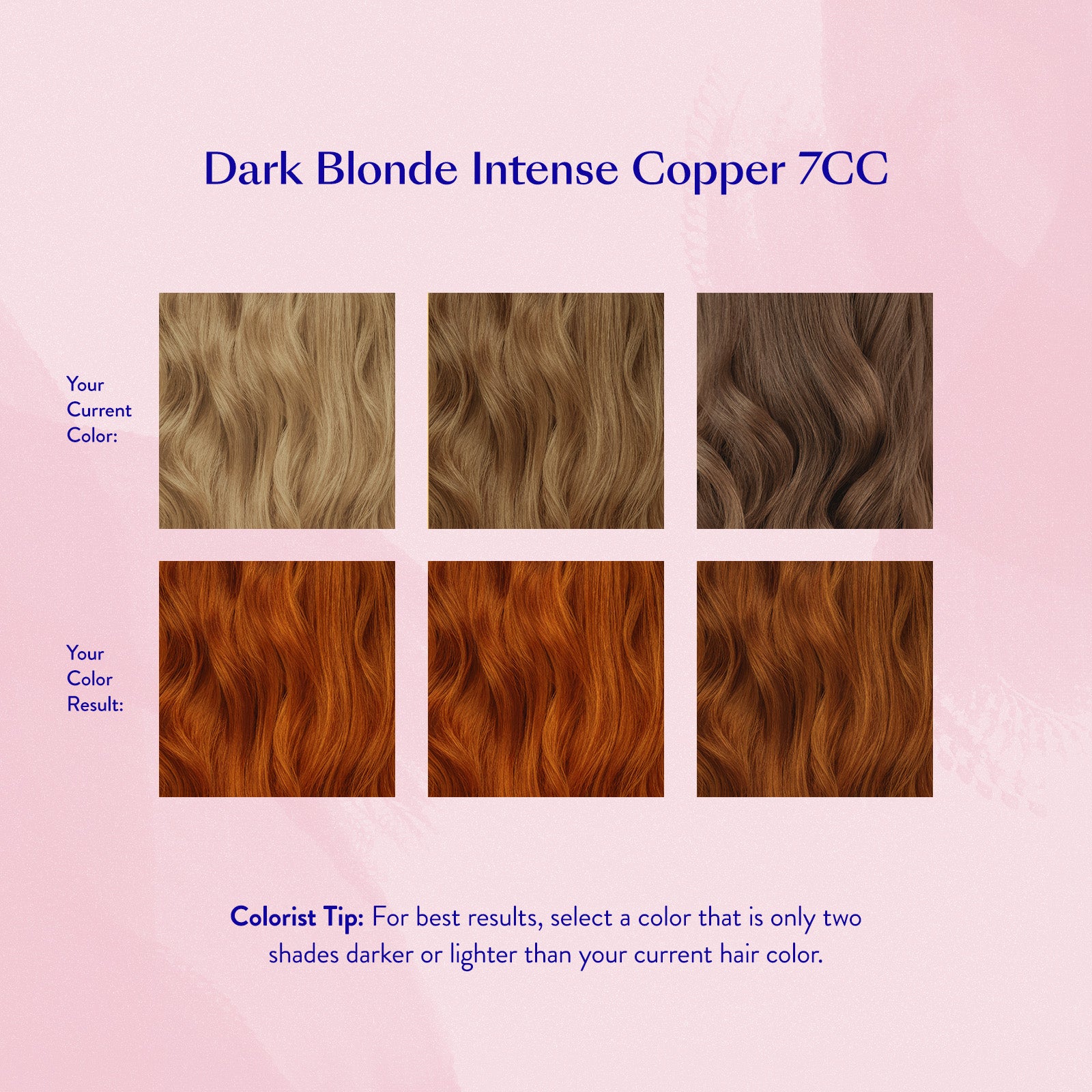 #color_Dark Blonde Intense Copper 7CC