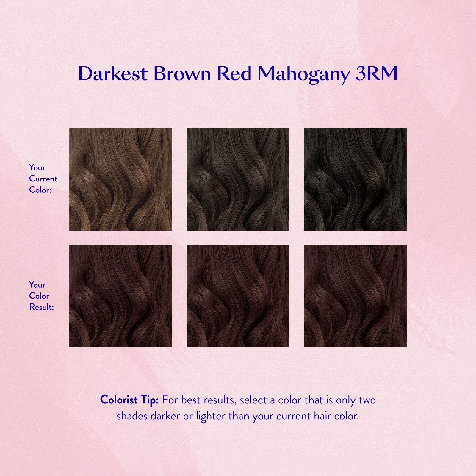 #color_Darkest Brown Red Mahogany 3RM