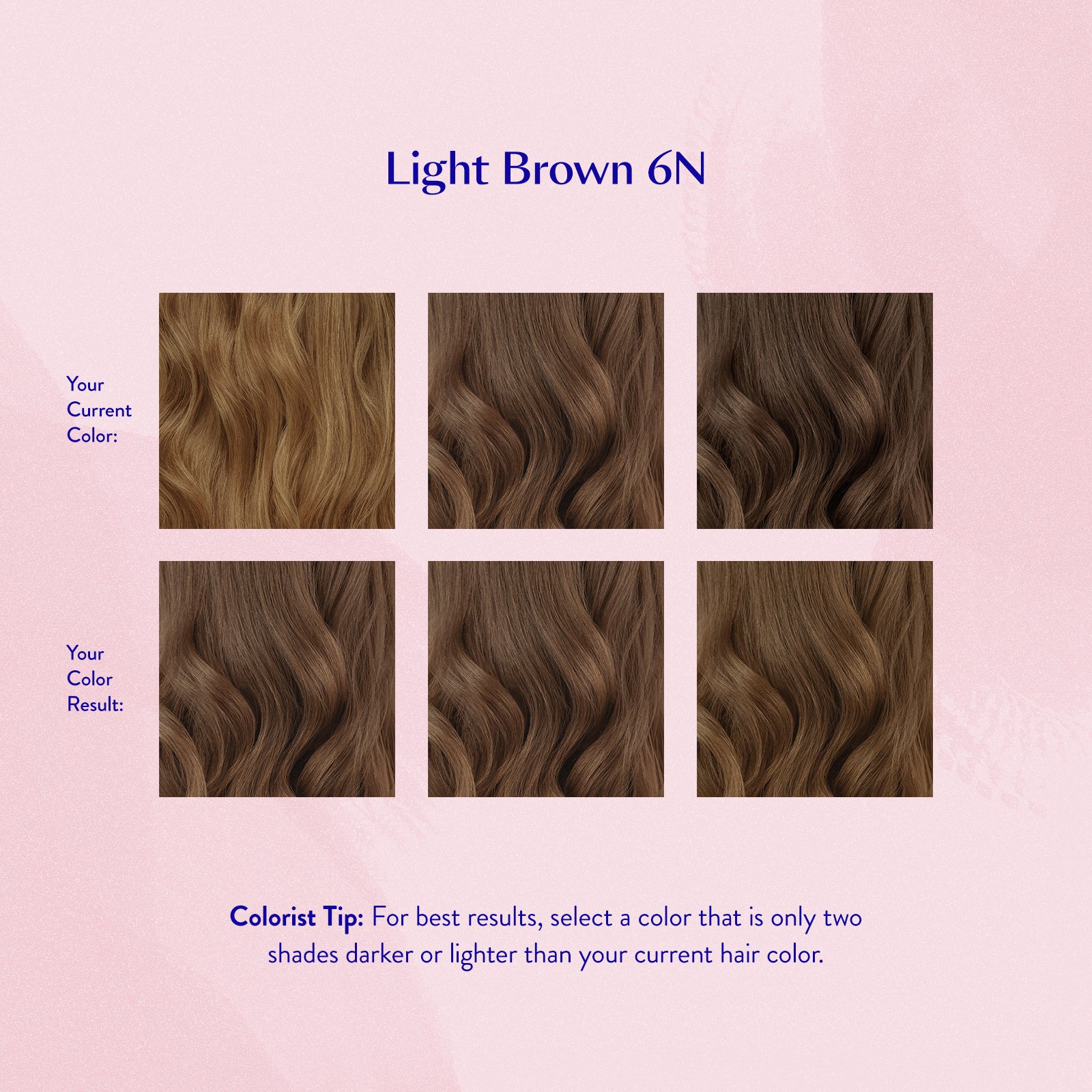#color_Light Brown 6N