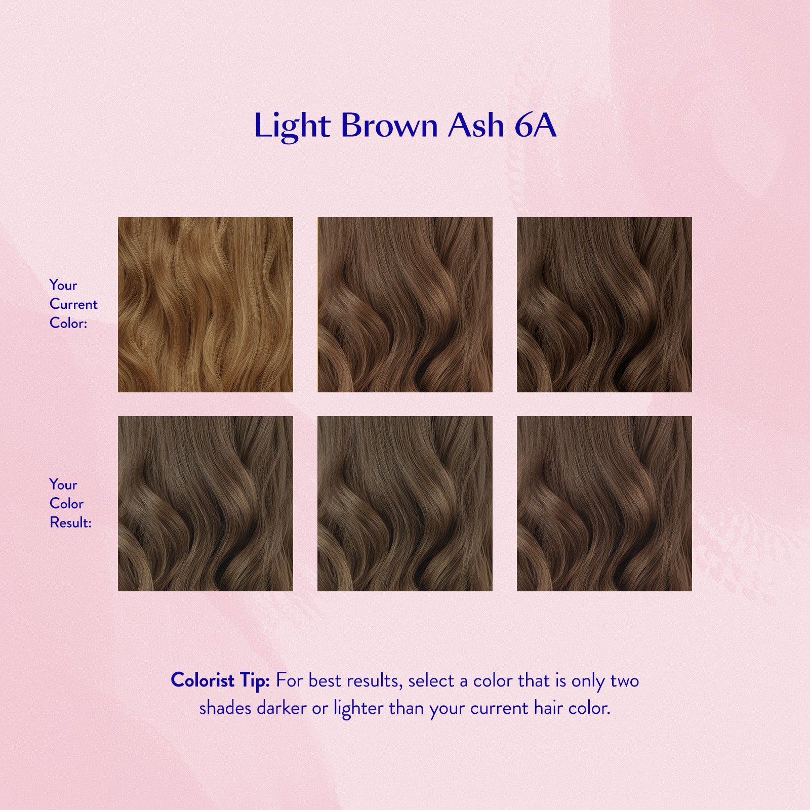 #color_Light Brown Ash 6A