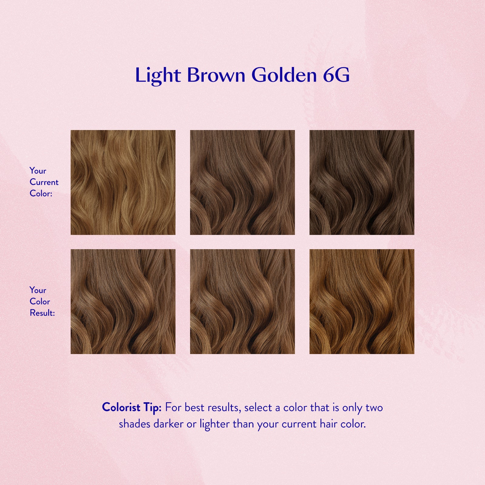 #color_Light Brown Golden 6G