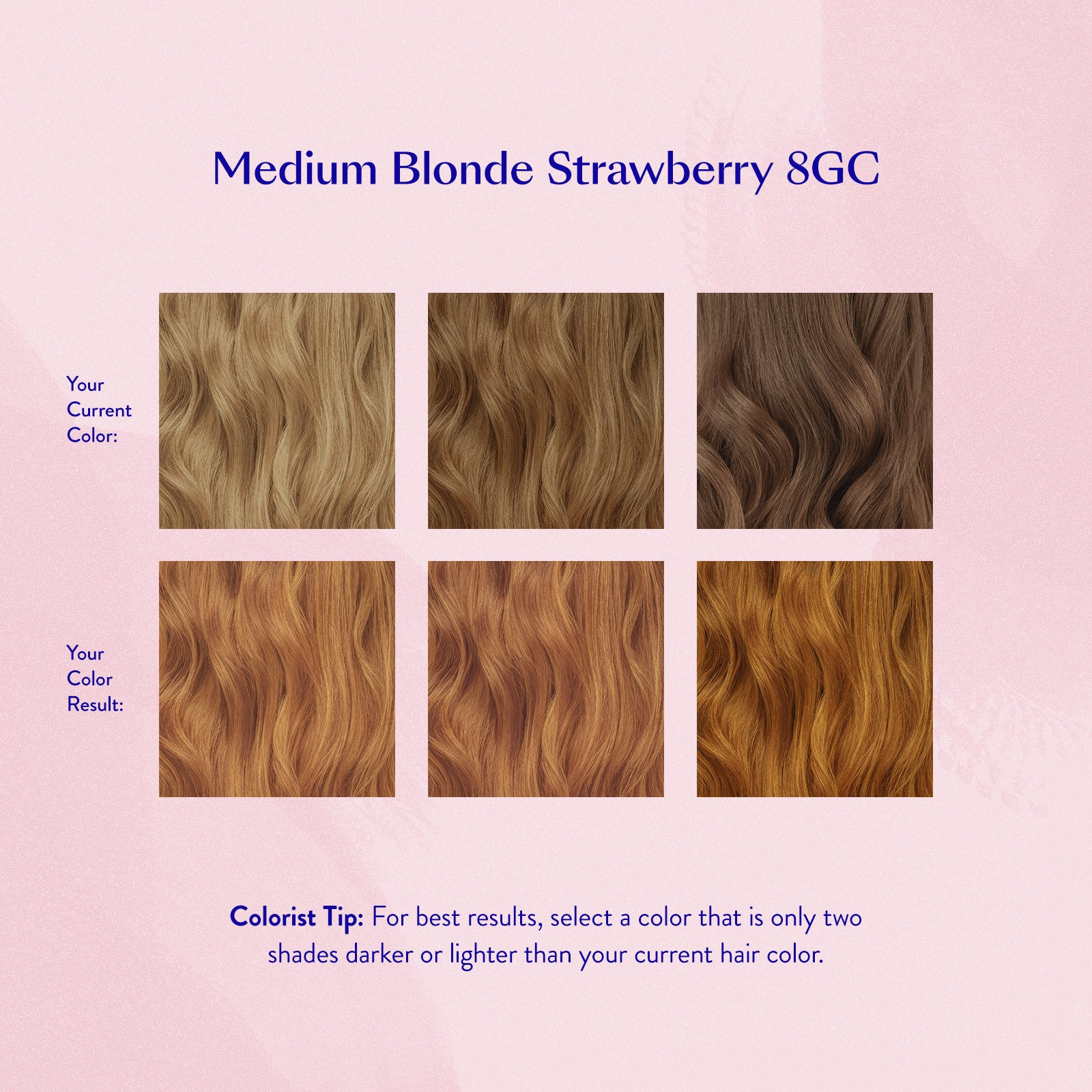 #color_Medium Blonde Strawberry 8GC