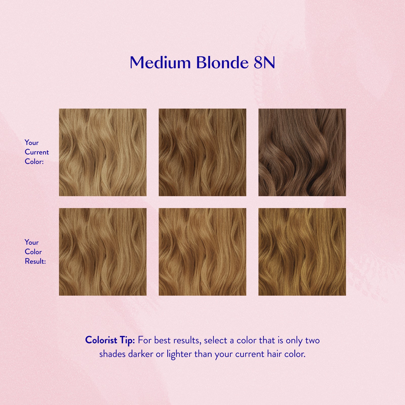 #color_Medium Blonde 8N
