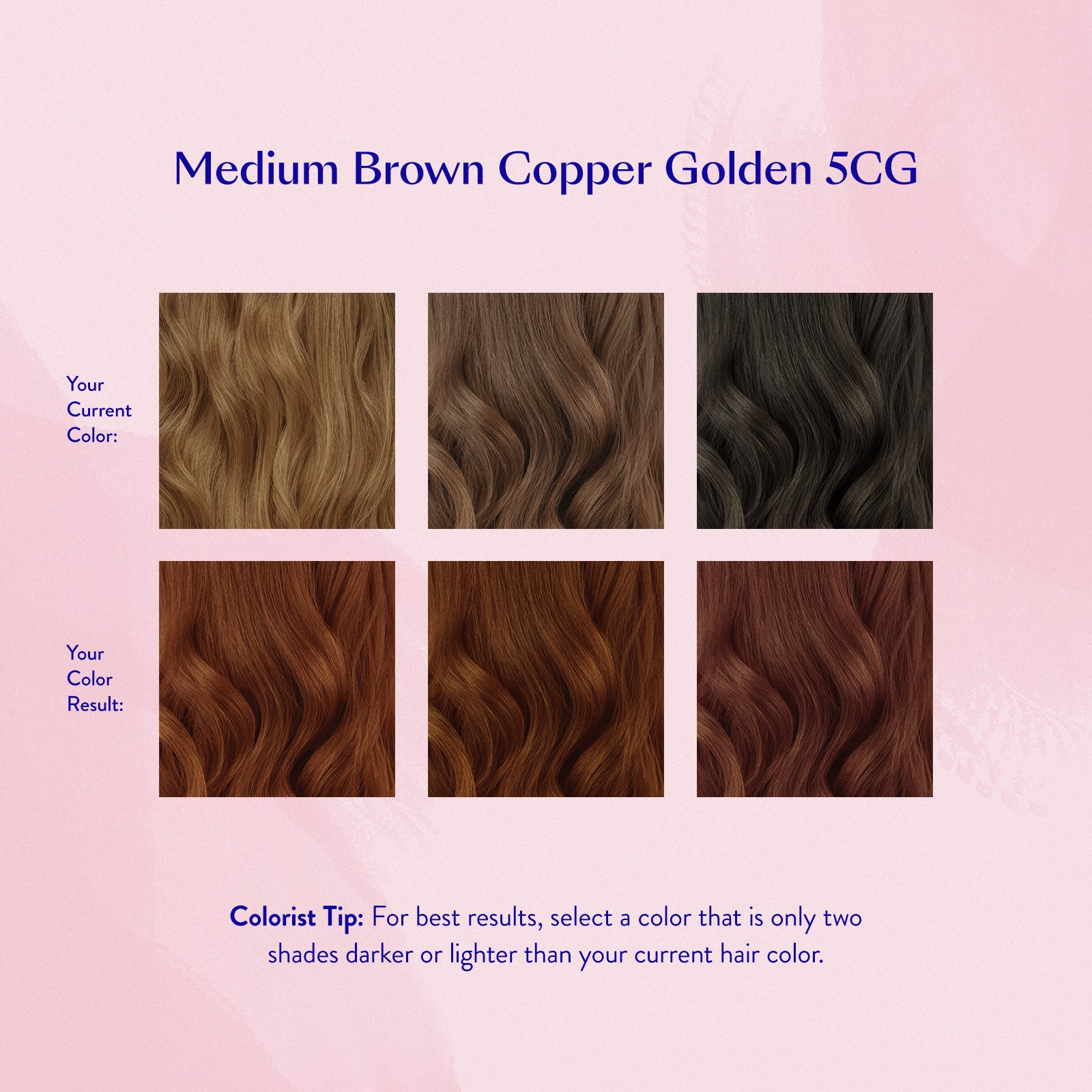 #color_Medium Brown Copper Golden 5CG