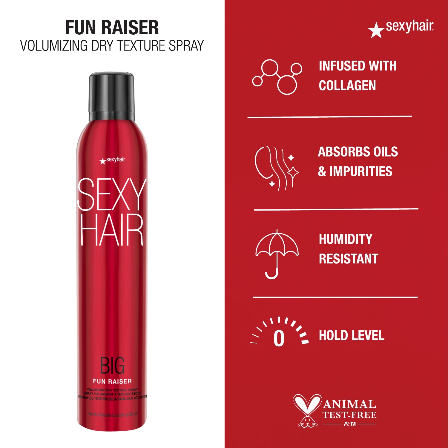 Big Fun Raiser Volumizing Dry Texture Spray