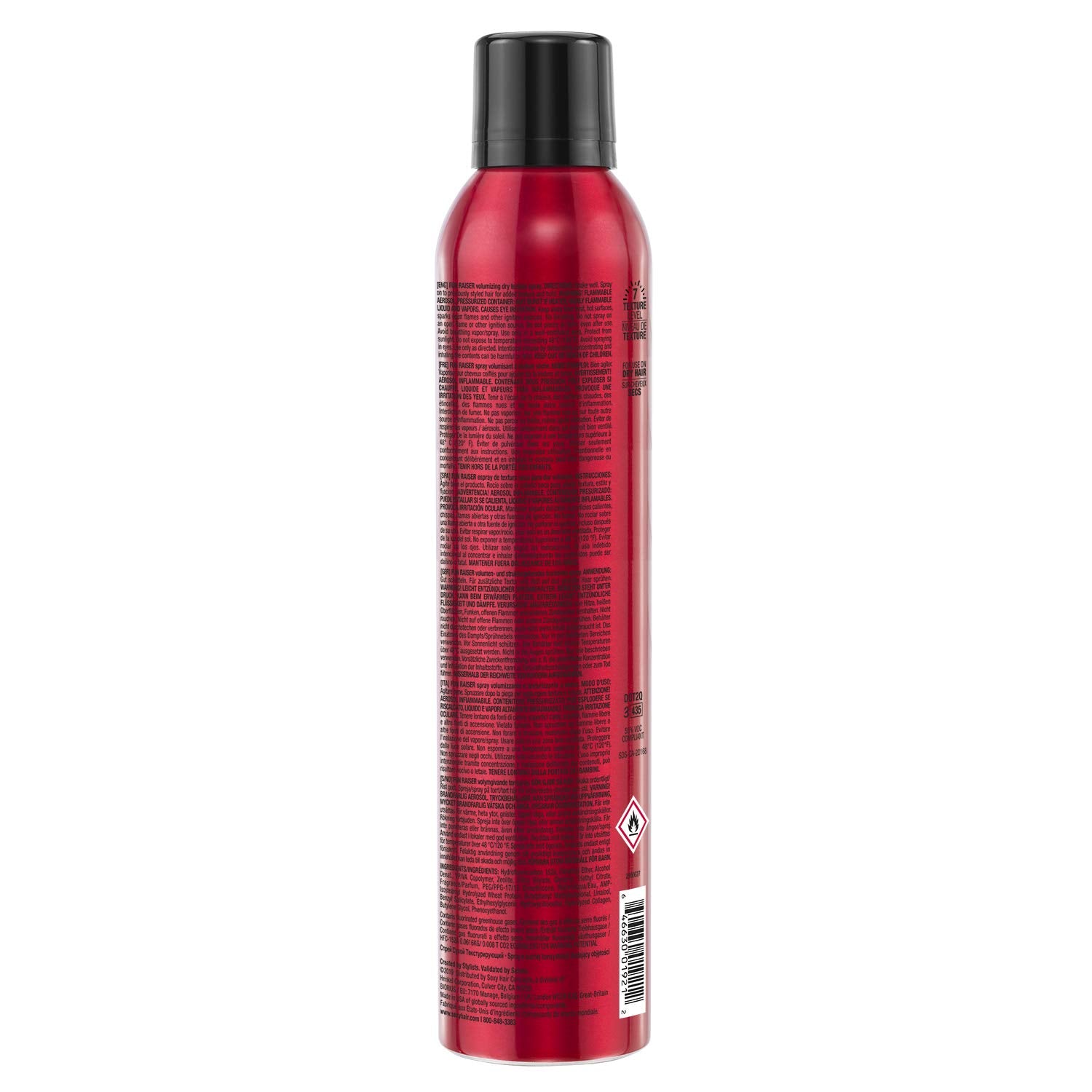 Big Fun Raiser Volumizing Dry Texture Spray