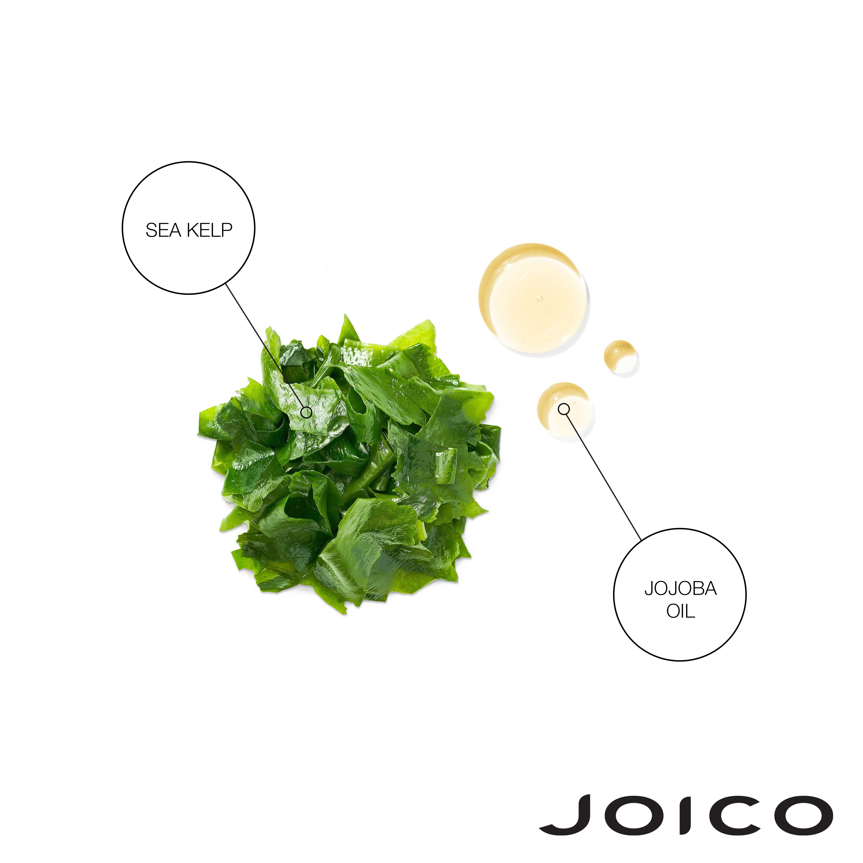 JOICO Moisture Recovery Moisturizing Shampoo