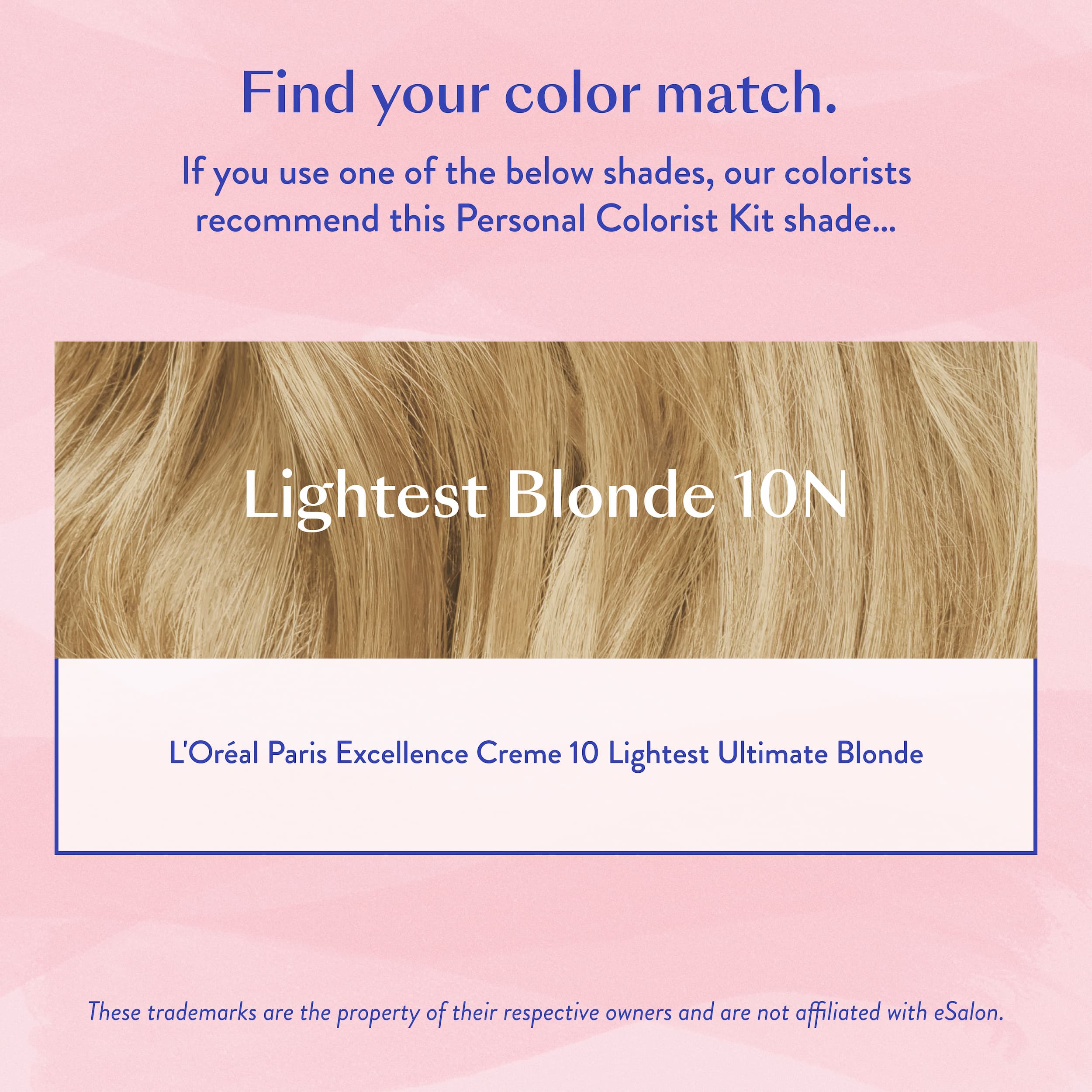 #color_Lightest Blonde 10N