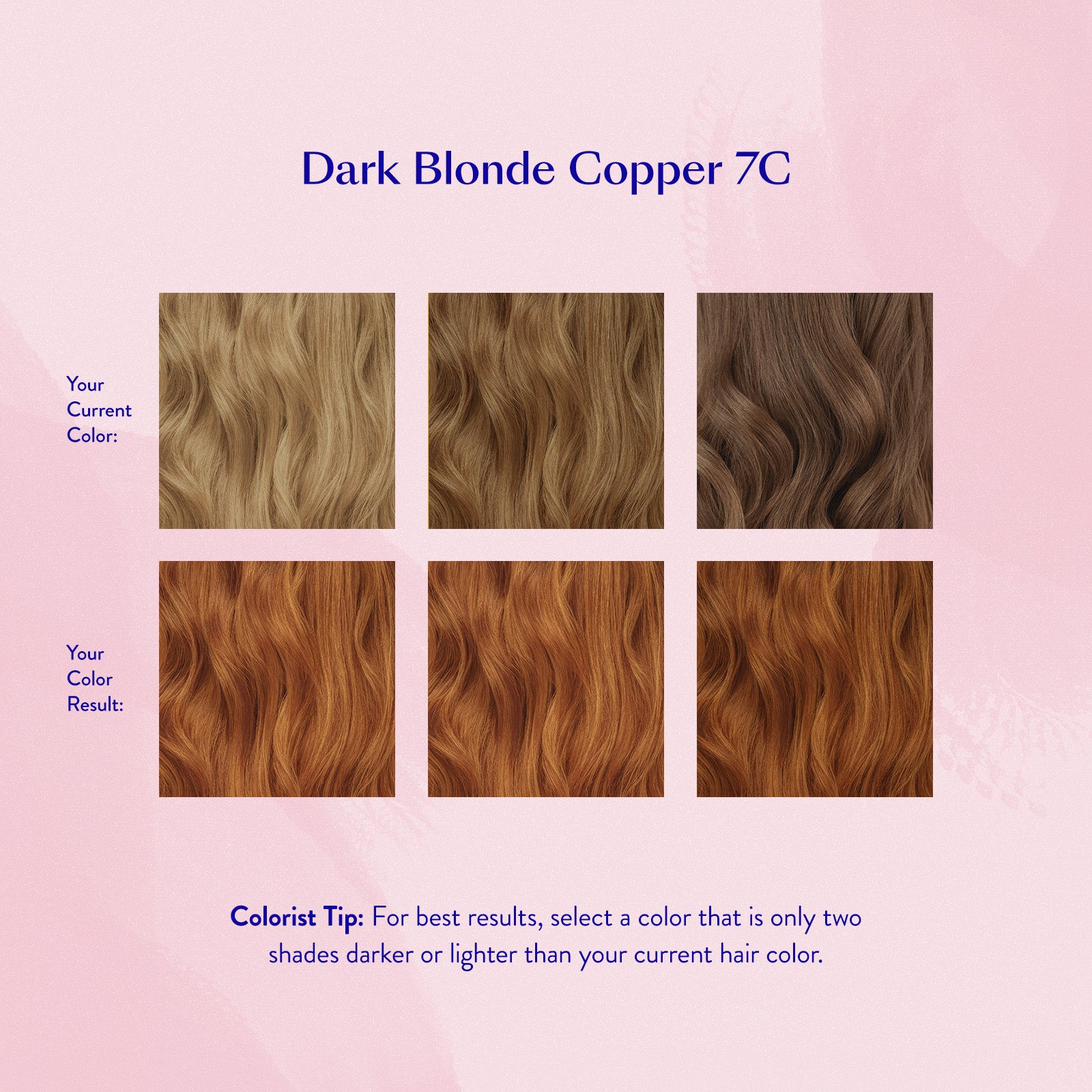 #color_Dark Blonde Copper 7C