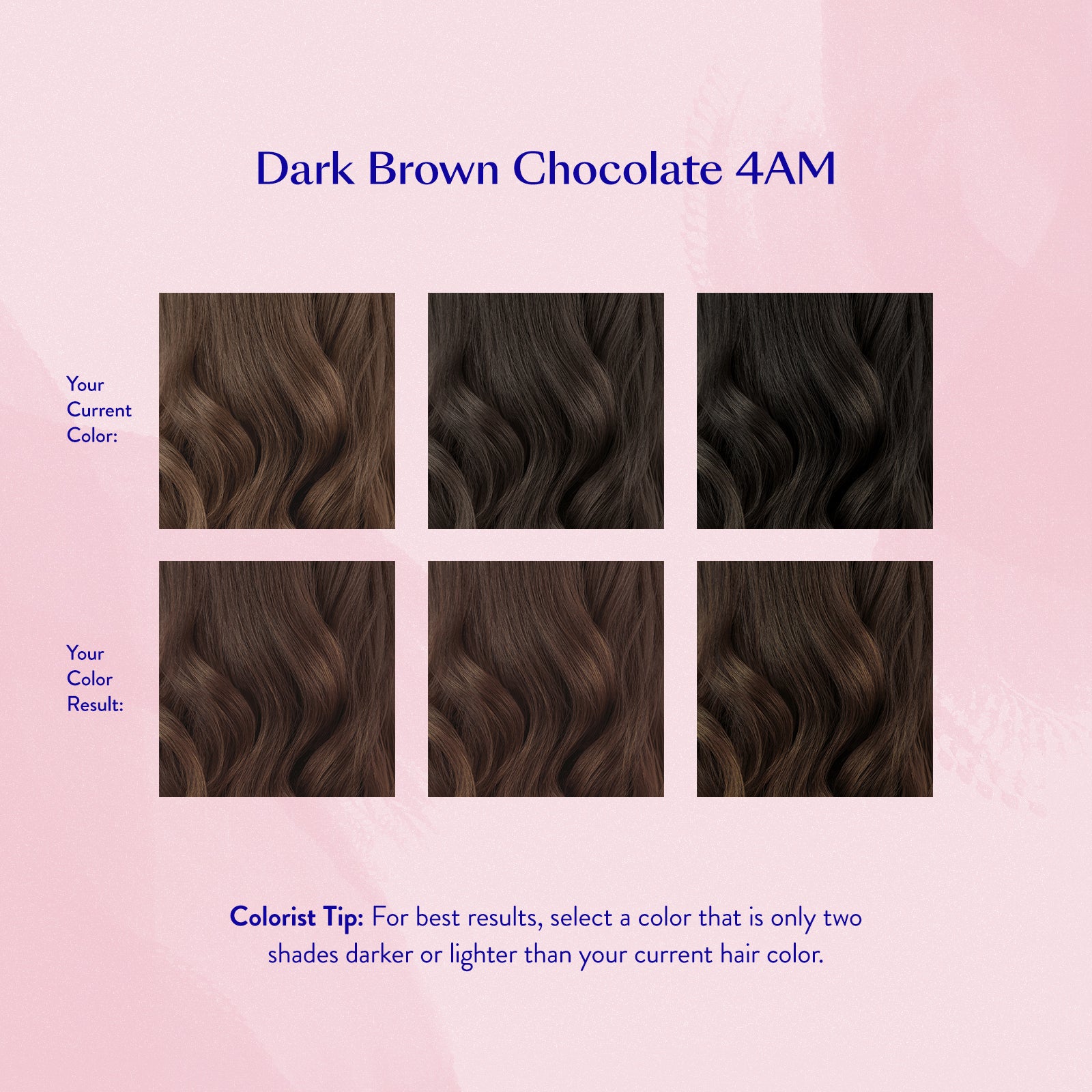 #color_Dark Brown Chocolate 4AM