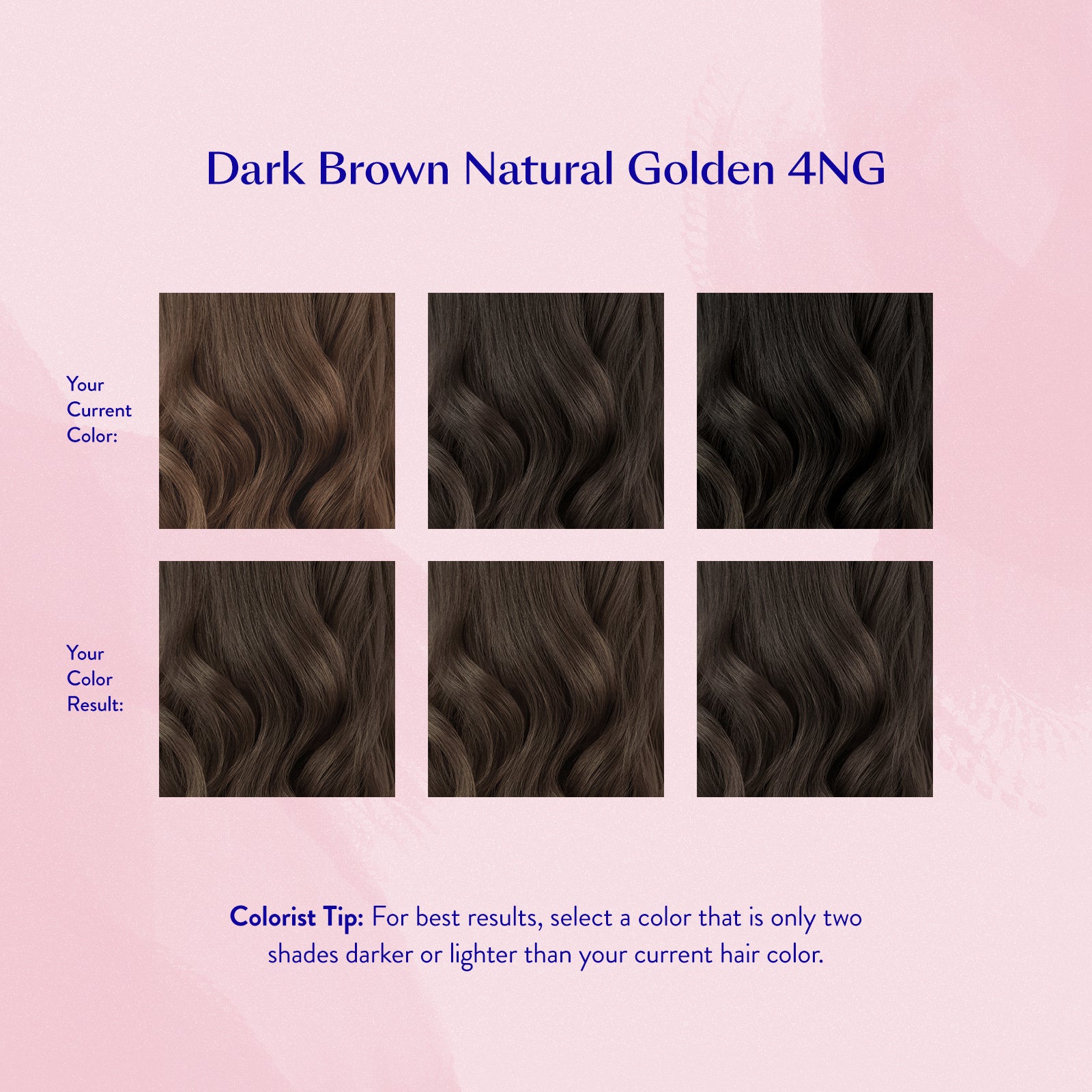 #color_Dark Brown Natural Golden 4NG