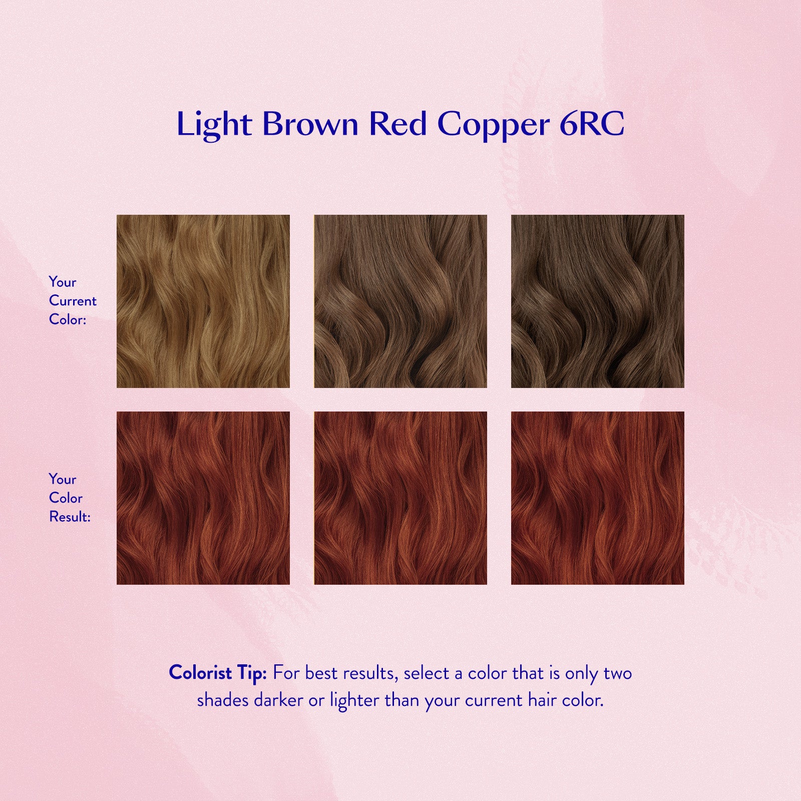 #color_Light Brown Red Copper 6RC