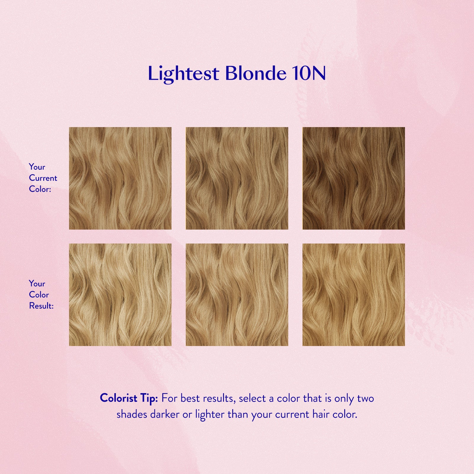 #color_Lightest Blonde 10N