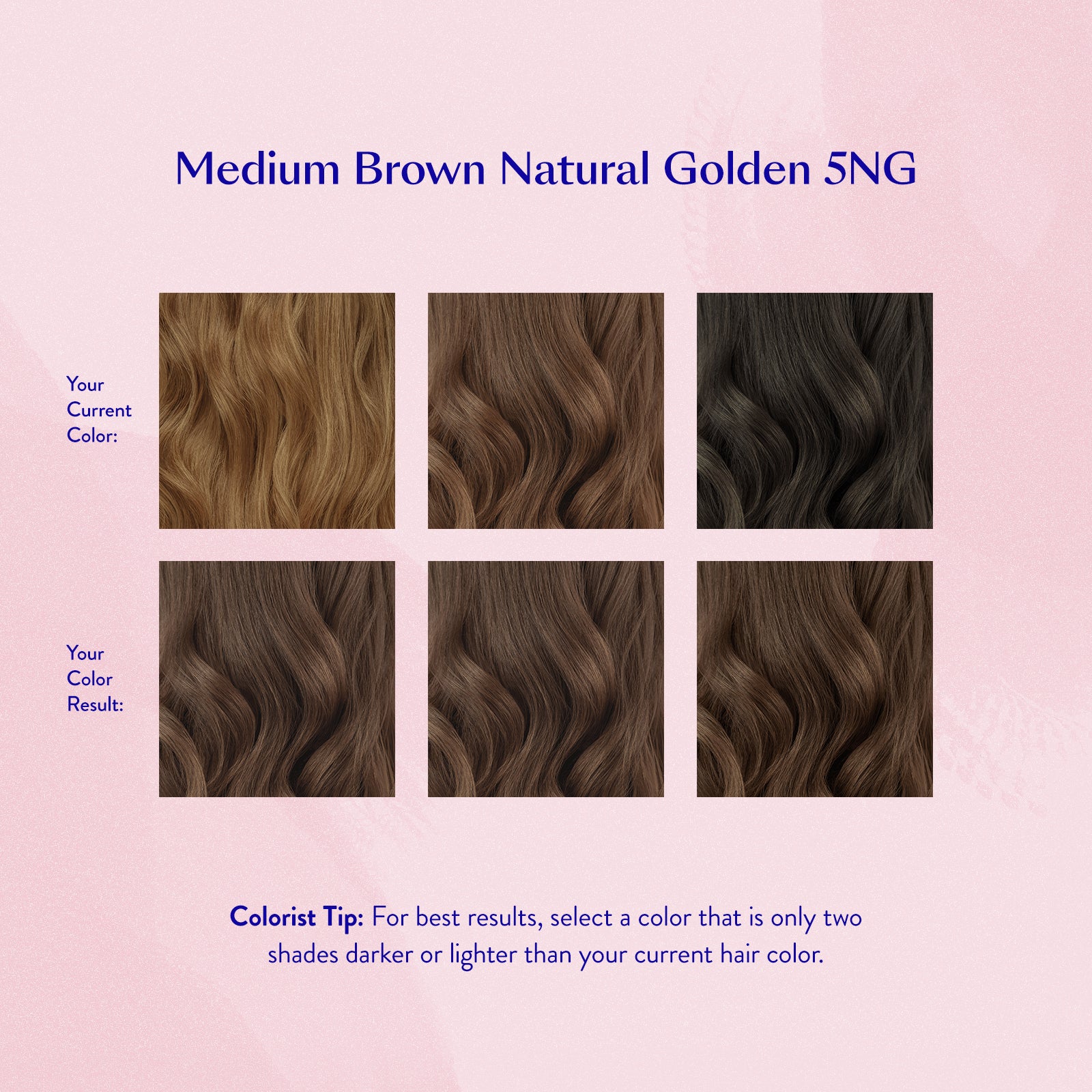 #color_Medium Brown Natural Golden 5NG