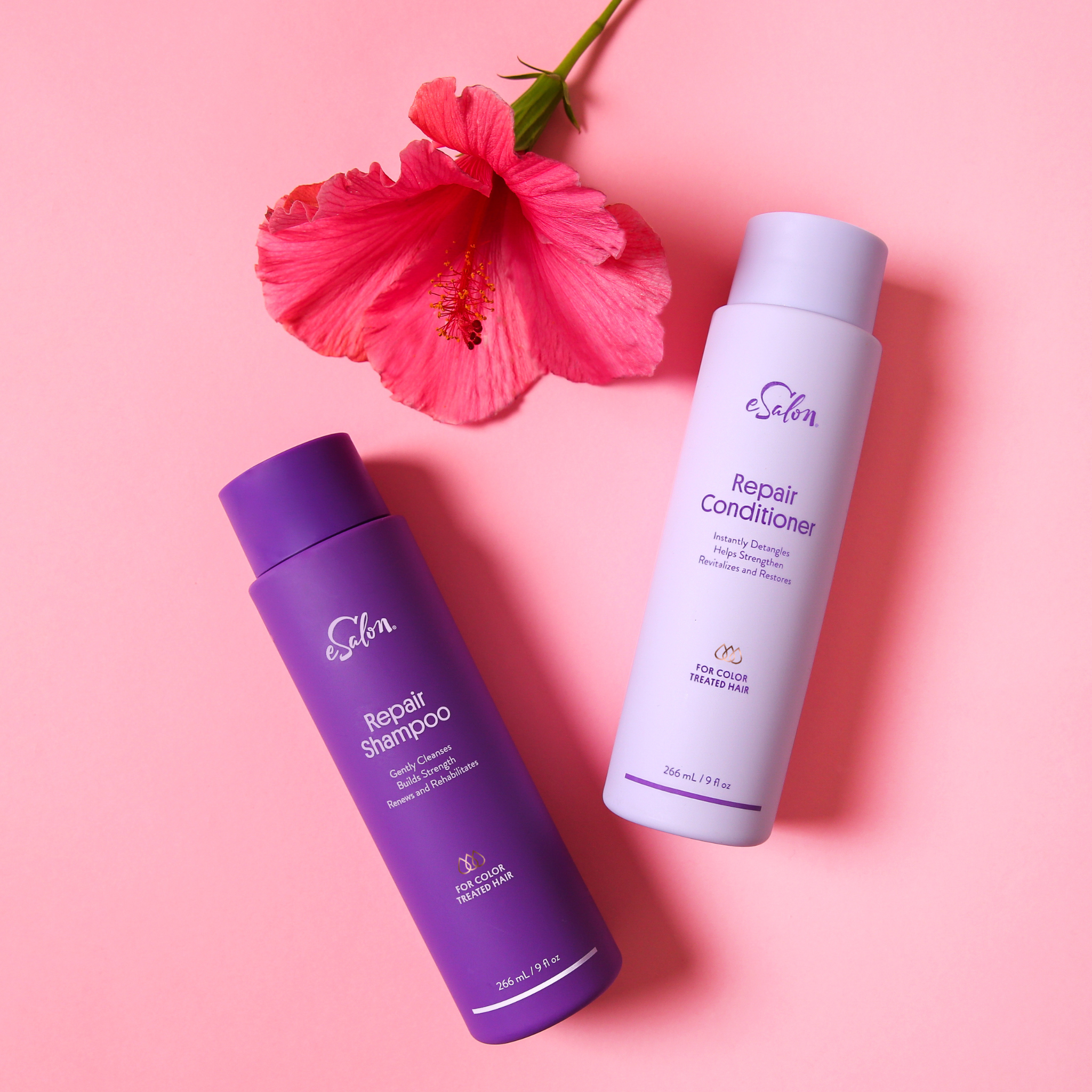 Repair Conditioner
